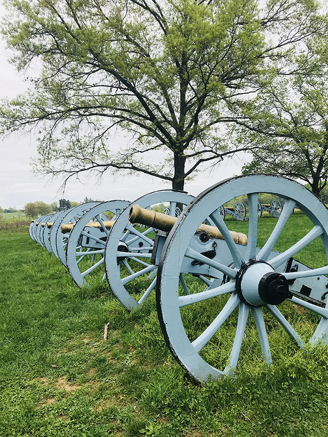 Canons sit atop a hill in a field 