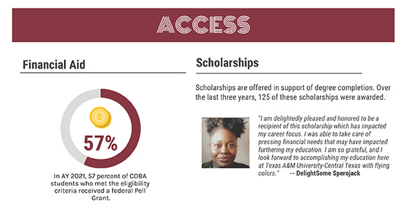 access infographic