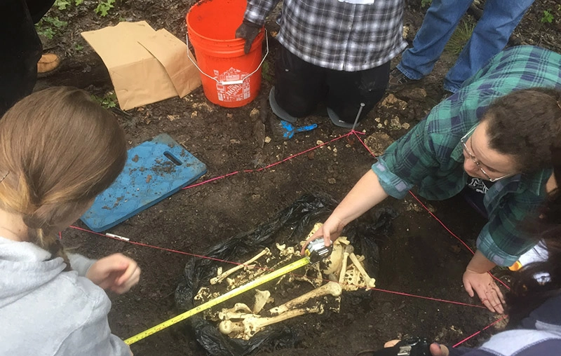 A group of students excavate bones at a dig site.