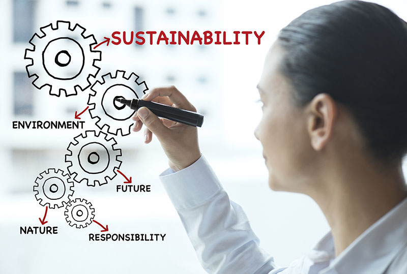 Triple Bottom Line Sustainability Success