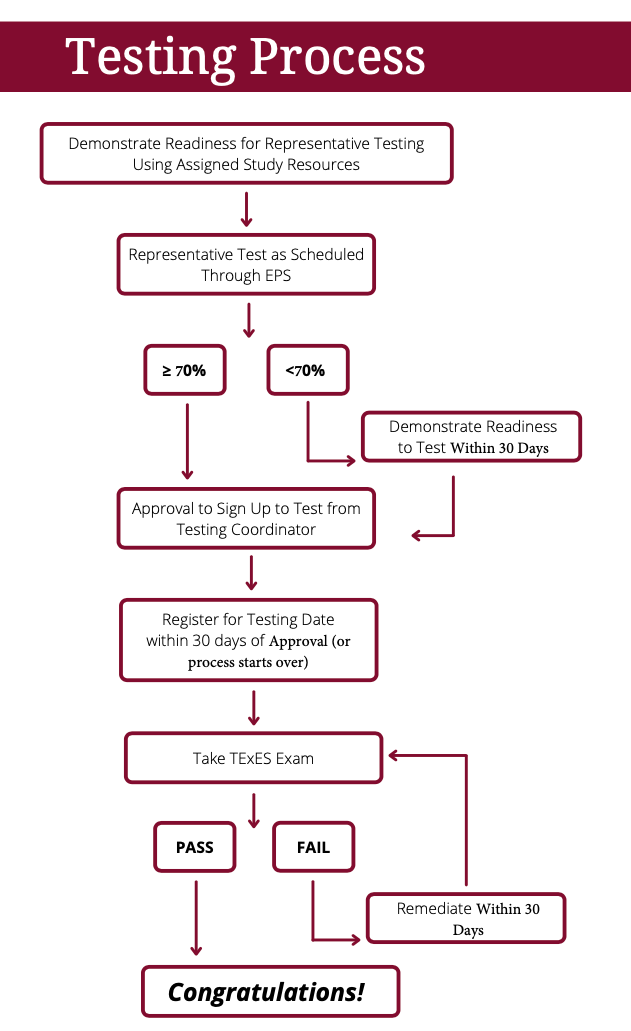 Testing Process Flow Chart