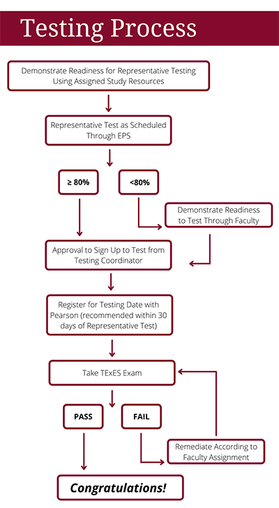 Testing Process Flow Chart