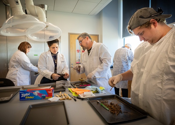 Dr. Jones and her students in the Anthropology Lab