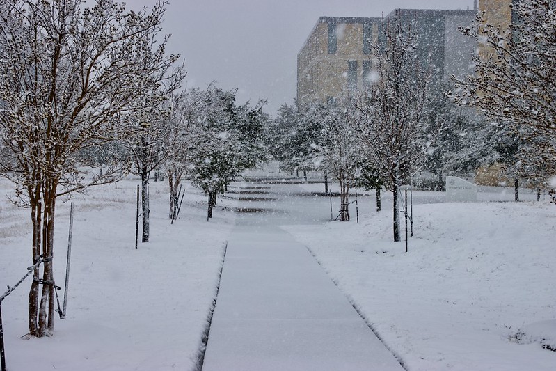 A tree-lined pathway covered in white snow