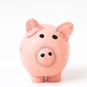 Piggie bank