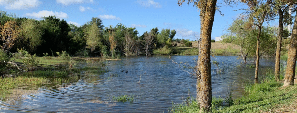 Nature Scene, river and trees