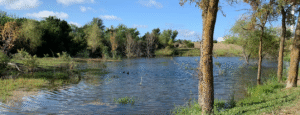 Nature Scene, river and trees