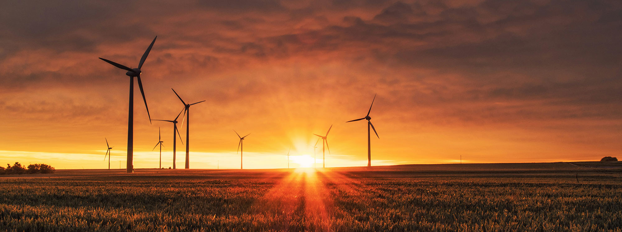 Image of wind turbines at sunset.