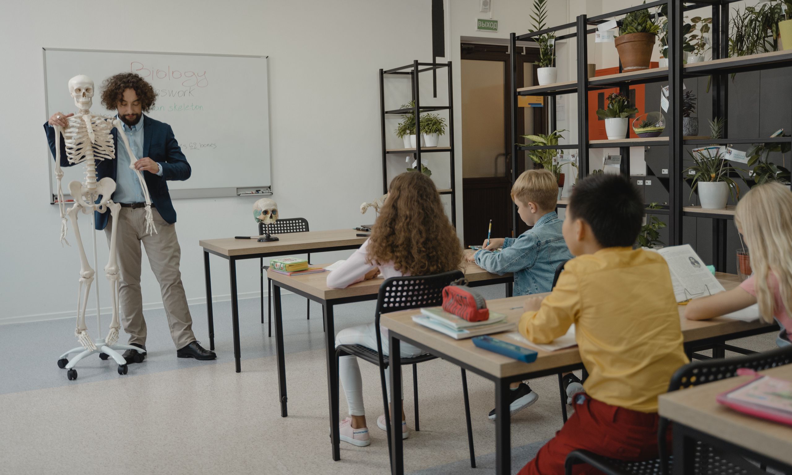 Teacher explaining biology with skeleton model to attentive students in classroom.